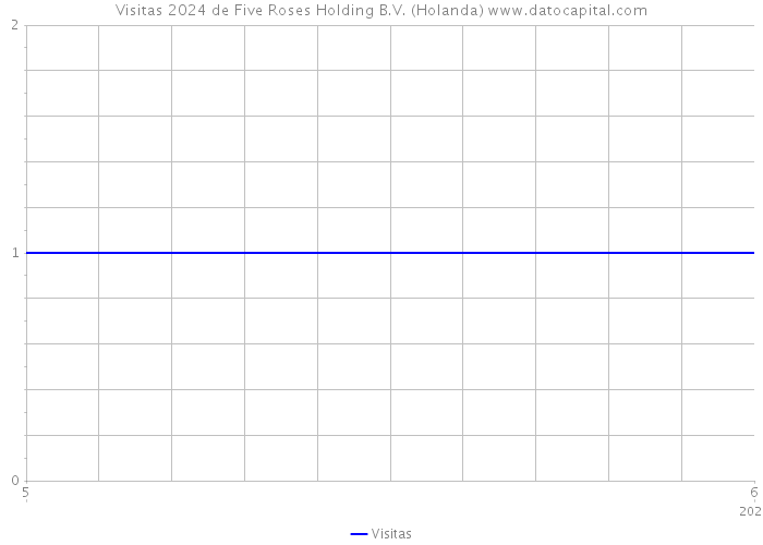 Visitas 2024 de Five Roses Holding B.V. (Holanda) 