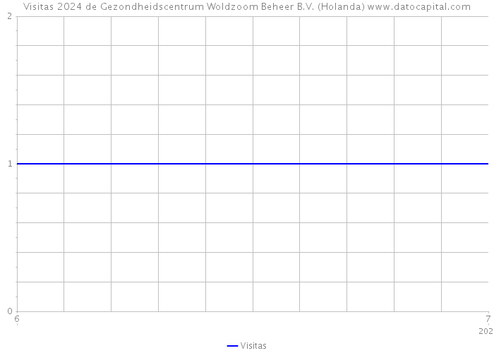 Visitas 2024 de Gezondheidscentrum Woldzoom Beheer B.V. (Holanda) 