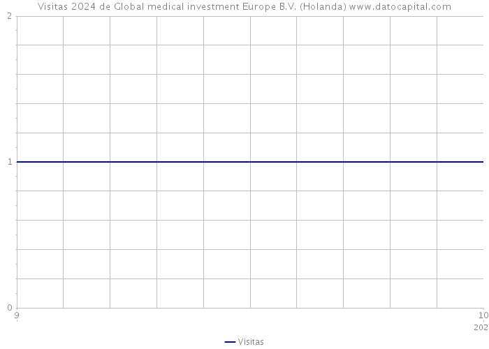 Visitas 2024 de Global medical investment Europe B.V. (Holanda) 