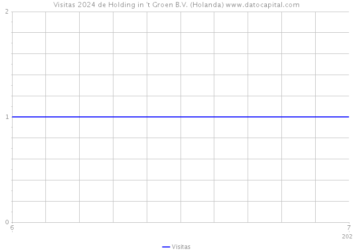 Visitas 2024 de Holding in 't Groen B.V. (Holanda) 