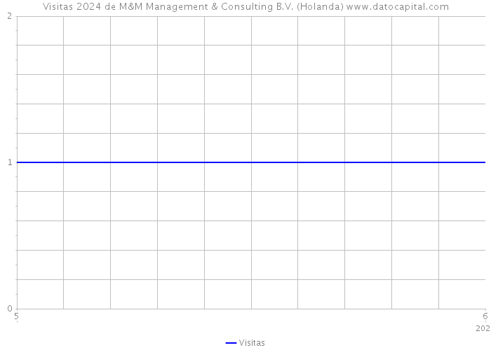 Visitas 2024 de M&M Management & Consulting B.V. (Holanda) 