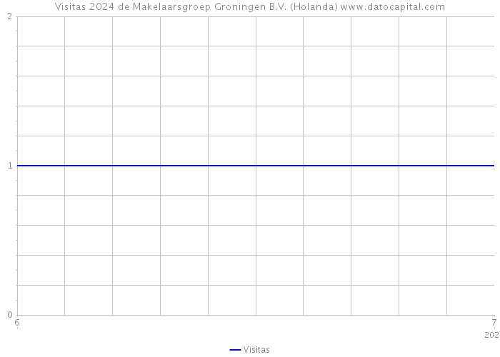 Visitas 2024 de Makelaarsgroep Groningen B.V. (Holanda) 