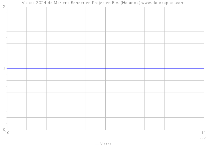 Visitas 2024 de Mariens Beheer en Projecten B.V. (Holanda) 