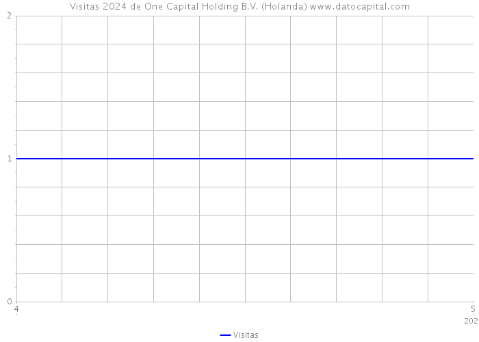 Visitas 2024 de One Capital Holding B.V. (Holanda) 