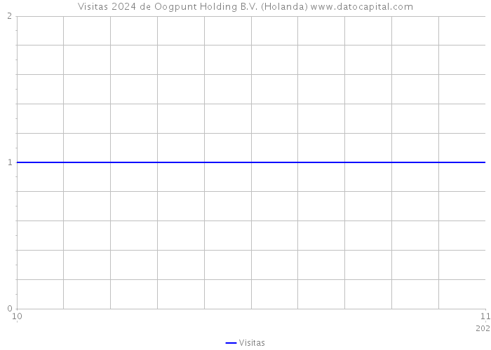 Visitas 2024 de Oogpunt Holding B.V. (Holanda) 