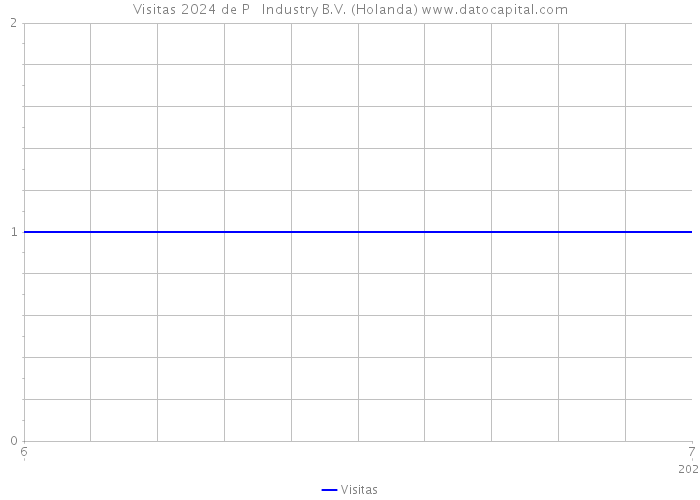 Visitas 2024 de P + Industry B.V. (Holanda) 