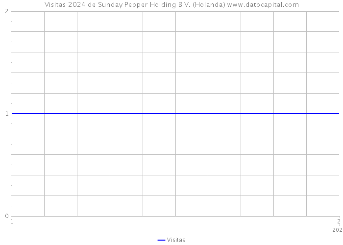 Visitas 2024 de Sunday Pepper Holding B.V. (Holanda) 