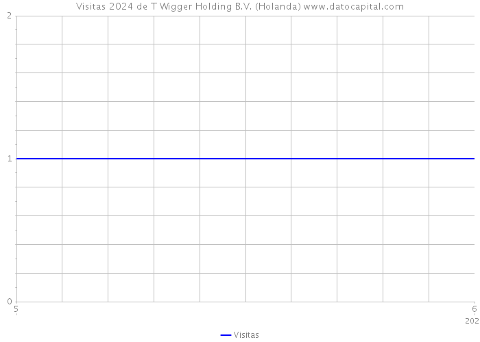 Visitas 2024 de T Wigger Holding B.V. (Holanda) 