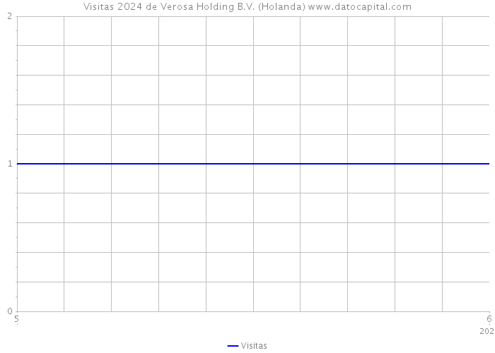 Visitas 2024 de Verosa Holding B.V. (Holanda) 