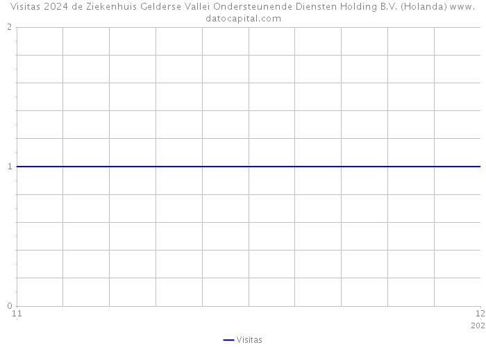 Visitas 2024 de Ziekenhuis Gelderse Vallei Ondersteunende Diensten Holding B.V. (Holanda) 