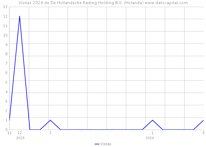 Visitas 2024 de De Hollandsche Rading Holding B.V. (Holanda) 