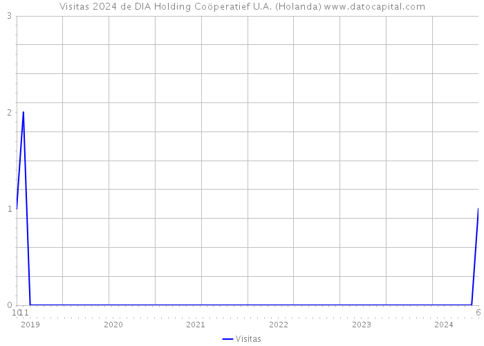 Visitas 2024 de DIA Holding Coöperatief U.A. (Holanda) 