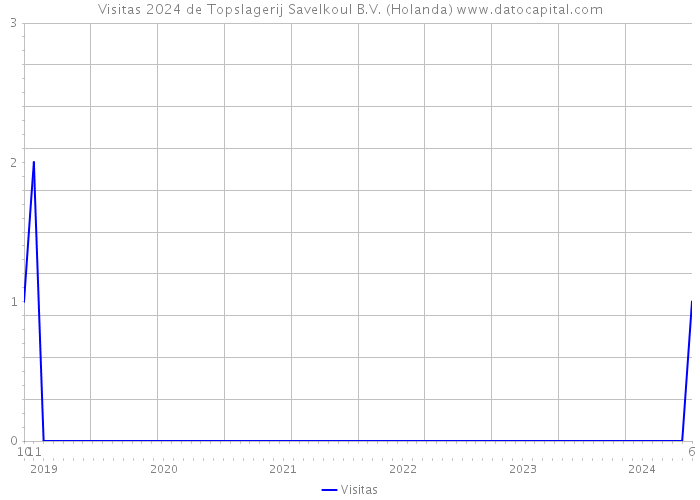 Visitas 2024 de Topslagerij Savelkoul B.V. (Holanda) 