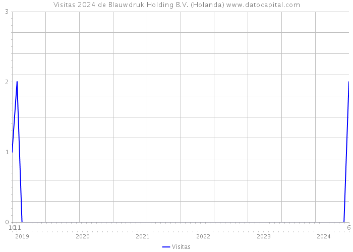 Visitas 2024 de Blauwdruk Holding B.V. (Holanda) 