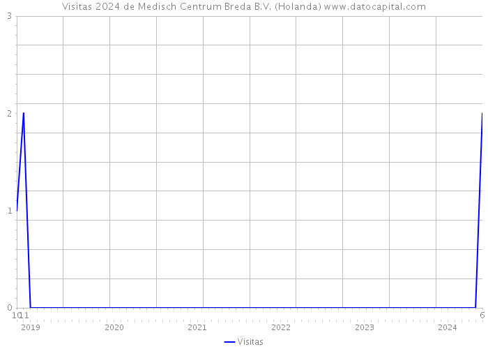 Visitas 2024 de Medisch Centrum Breda B.V. (Holanda) 