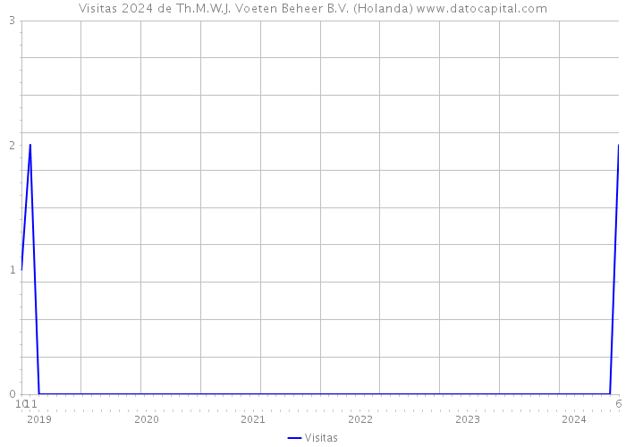 Visitas 2024 de Th.M.W.J. Voeten Beheer B.V. (Holanda) 