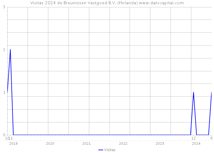 Visitas 2024 de Breunissen Vastgoed B.V. (Holanda) 