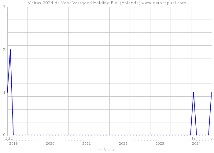 Visitas 2024 de Voor Vastgoed Holding B.V. (Holanda) 