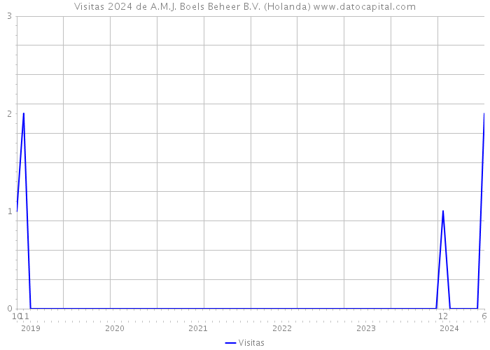 Visitas 2024 de A.M.J. Boels Beheer B.V. (Holanda) 