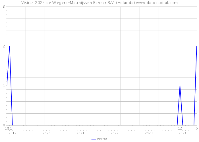 Visitas 2024 de Wiegers-Matthijssen Beheer B.V. (Holanda) 