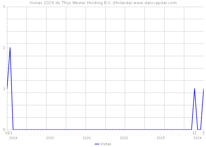 Visitas 2024 de Thijs Wester Holding B.V. (Holanda) 