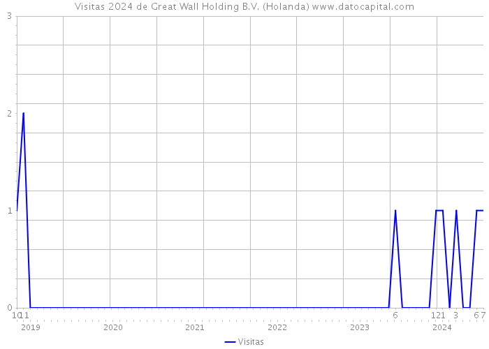 Visitas 2024 de Great Wall Holding B.V. (Holanda) 