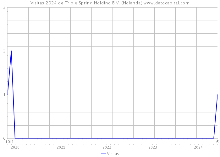 Visitas 2024 de Triple Spring Holding B.V. (Holanda) 