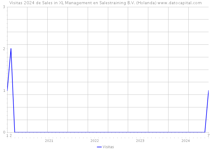 Visitas 2024 de Sales in XL Management en Salestraining B.V. (Holanda) 
