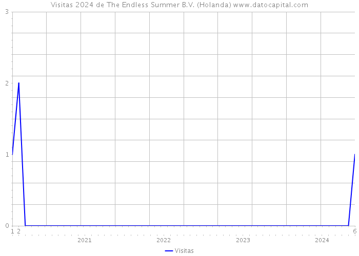 Visitas 2024 de The Endless Summer B.V. (Holanda) 