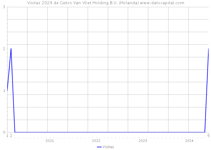 Visitas 2024 de Gebrs Van Vliet Holding B.V. (Holanda) 