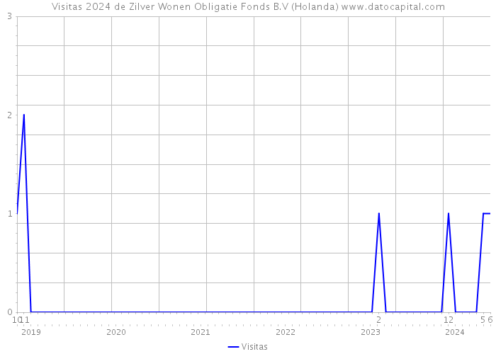 Visitas 2024 de Zilver Wonen Obligatie Fonds B.V (Holanda) 