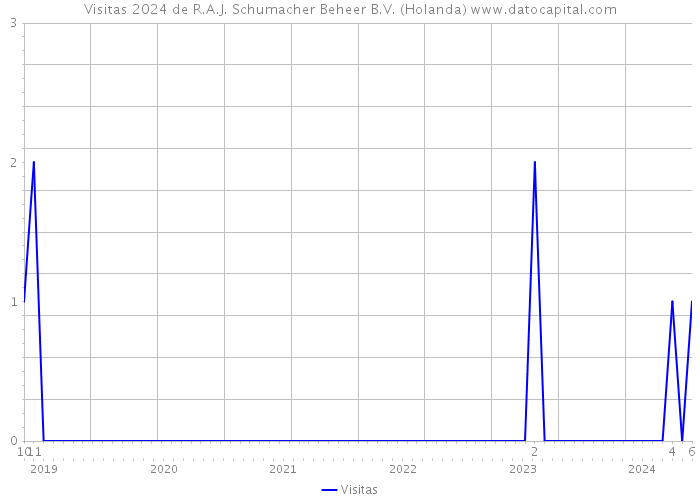 Visitas 2024 de R.A.J. Schumacher Beheer B.V. (Holanda) 