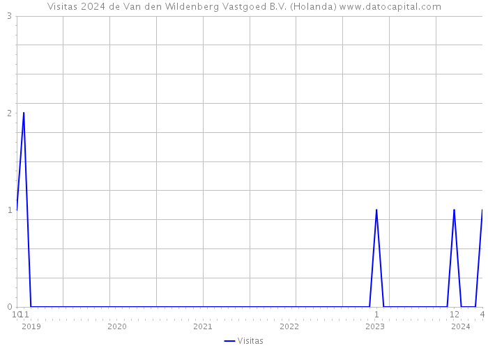 Visitas 2024 de Van den Wildenberg Vastgoed B.V. (Holanda) 
