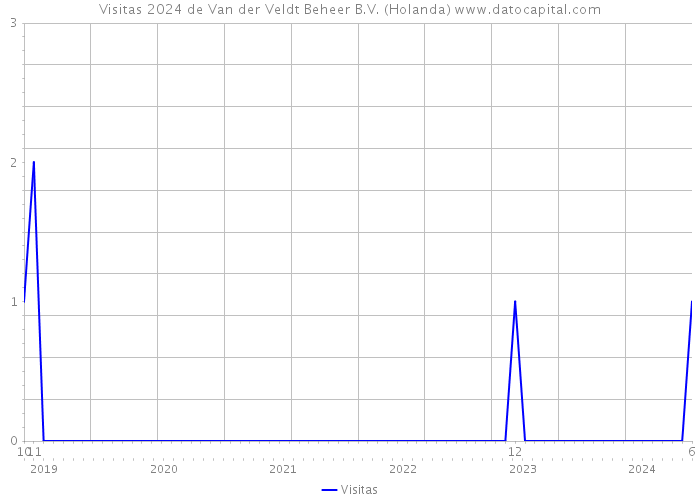 Visitas 2024 de Van der Veldt Beheer B.V. (Holanda) 