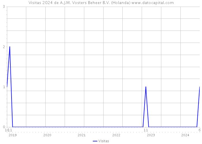 Visitas 2024 de A.J.M. Vosters Beheer B.V. (Holanda) 