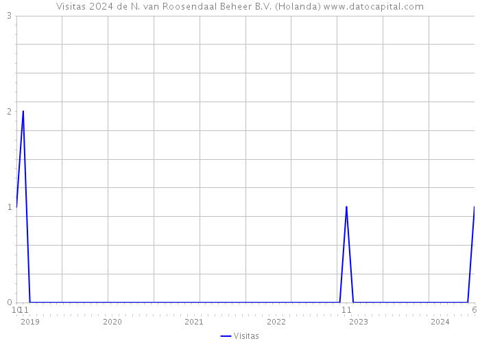 Visitas 2024 de N. van Roosendaal Beheer B.V. (Holanda) 