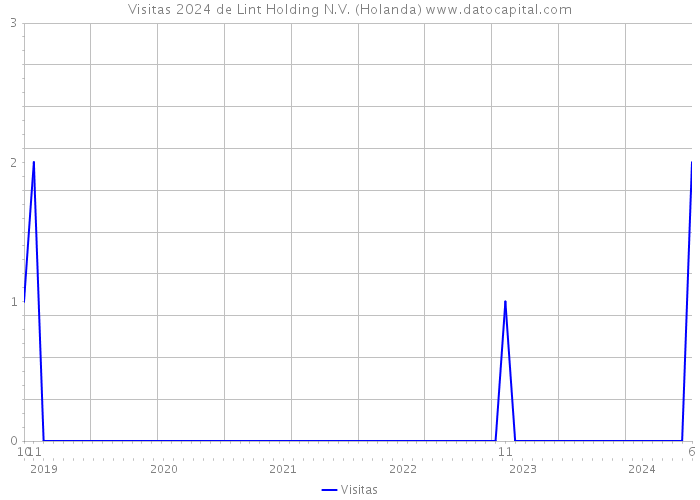 Visitas 2024 de Lint Holding N.V. (Holanda) 