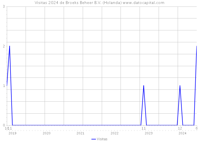 Visitas 2024 de Broeks Beheer B.V. (Holanda) 