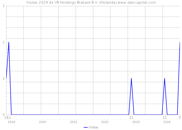 Visitas 2024 de VB Holdings Brabant B.V. (Holanda) 