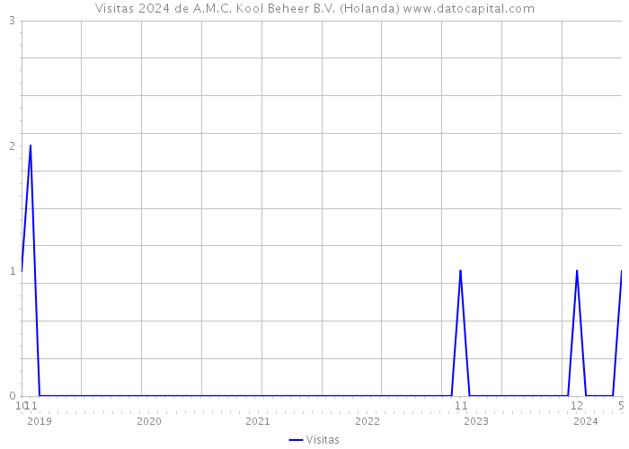 Visitas 2024 de A.M.C. Kool Beheer B.V. (Holanda) 