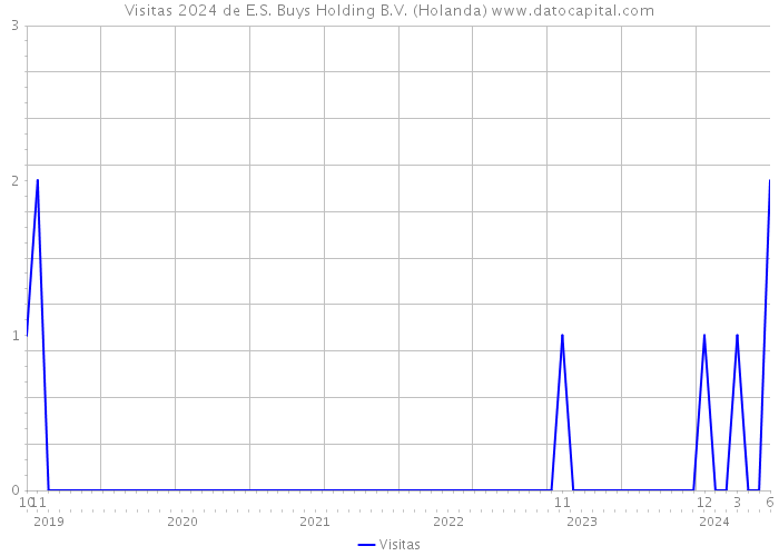 Visitas 2024 de E.S. Buys Holding B.V. (Holanda) 