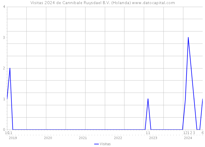 Visitas 2024 de Cannibale Ruysdael B.V. (Holanda) 