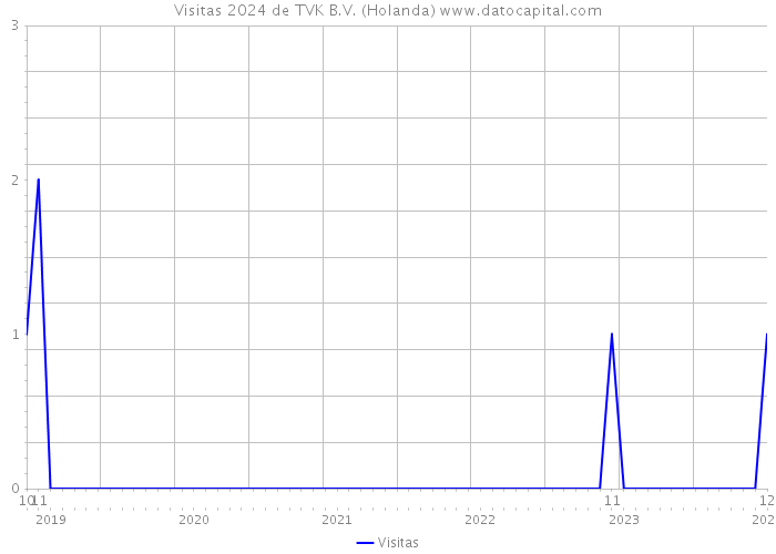 Visitas 2024 de TVK B.V. (Holanda) 