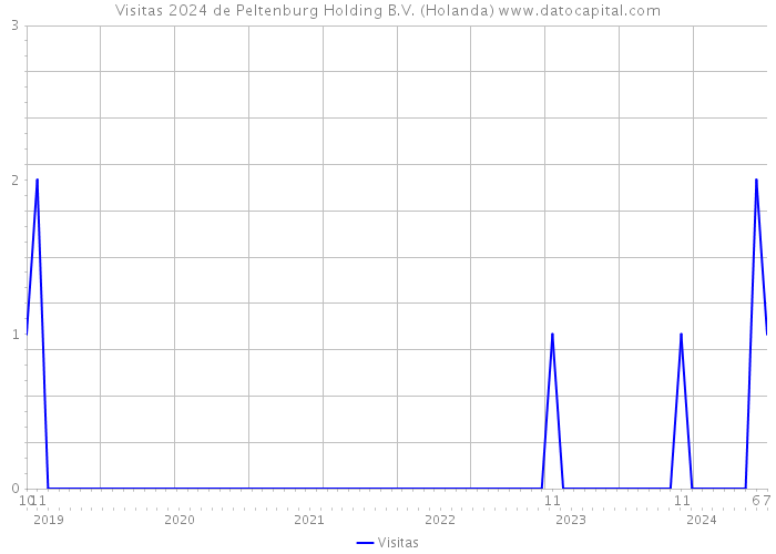 Visitas 2024 de Peltenburg Holding B.V. (Holanda) 