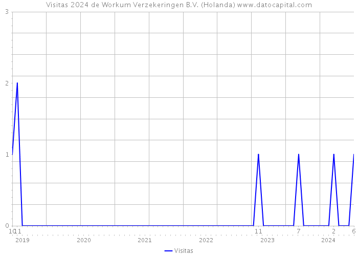 Visitas 2024 de Workum Verzekeringen B.V. (Holanda) 