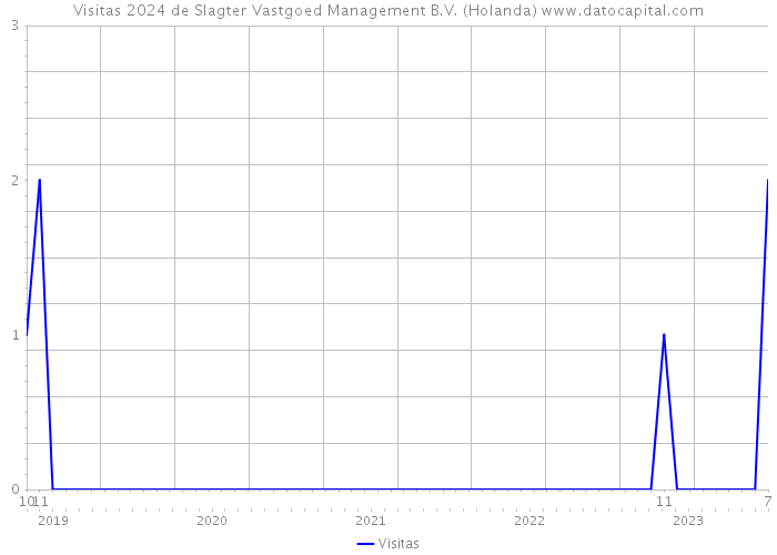 Visitas 2024 de Slagter Vastgoed Management B.V. (Holanda) 