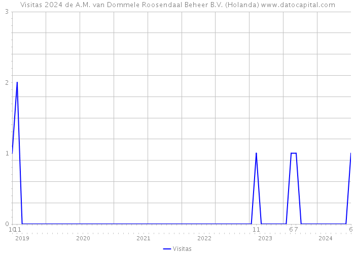 Visitas 2024 de A.M. van Dommele Roosendaal Beheer B.V. (Holanda) 