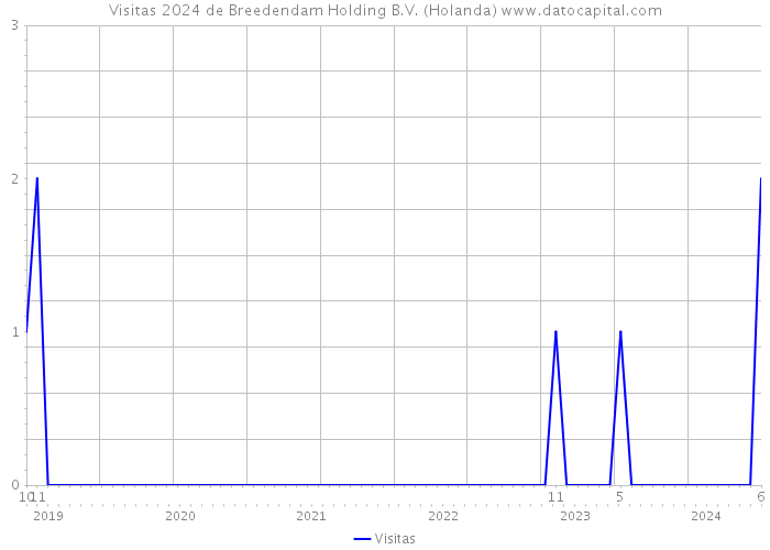Visitas 2024 de Breedendam Holding B.V. (Holanda) 