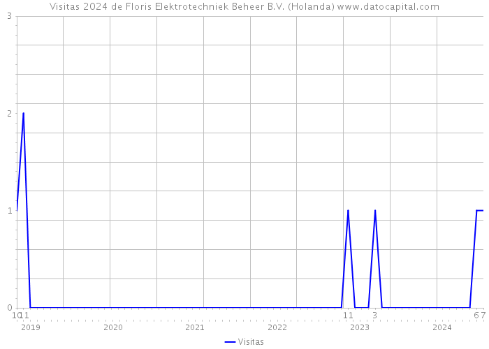 Visitas 2024 de Floris Elektrotechniek Beheer B.V. (Holanda) 