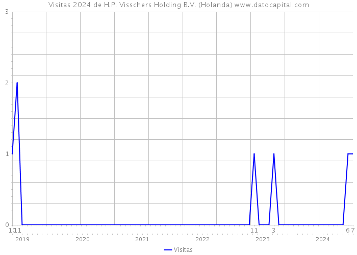 Visitas 2024 de H.P. Visschers Holding B.V. (Holanda) 